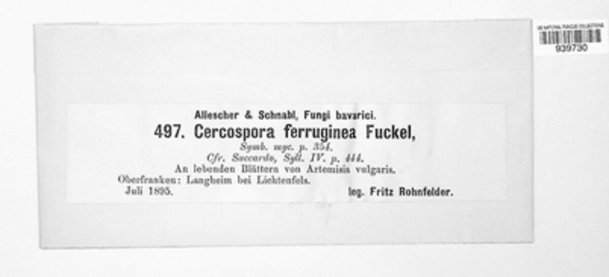 Passalora ferruginea image